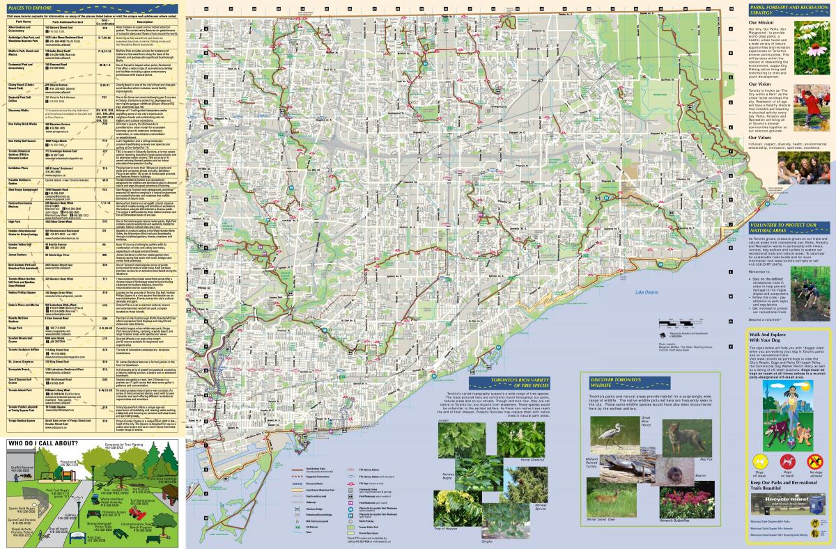 Карта парков и пешеходных маршрутов Востоке Торонто