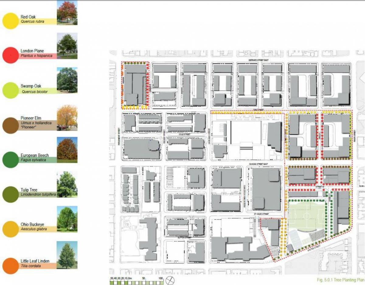 Карта план активизации фазы Риджентс-Парк Торонто 3