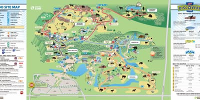 Карта Торонто зоопарк