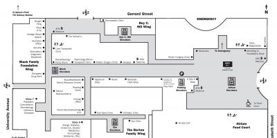 Карту больница для больных детей в Торонто первый этаж