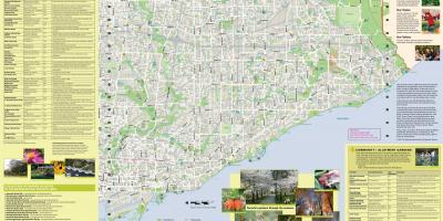 Карта сады Торонто Ист