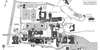 Карта центра наук о здоровье Саннибрук - сайт shsc